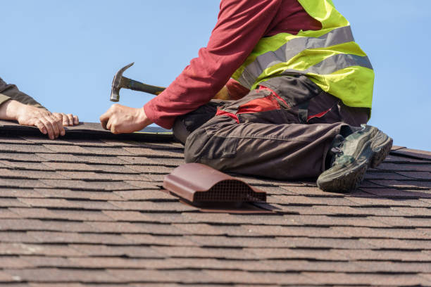 Best Local Roofing Companies  in Laredo, TX